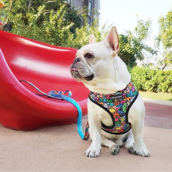 🐶 Luna Paws Reversible 2-in-1 Safety Harness for Dog/Puppy Under the Sea Print - Picture 2 of 8
